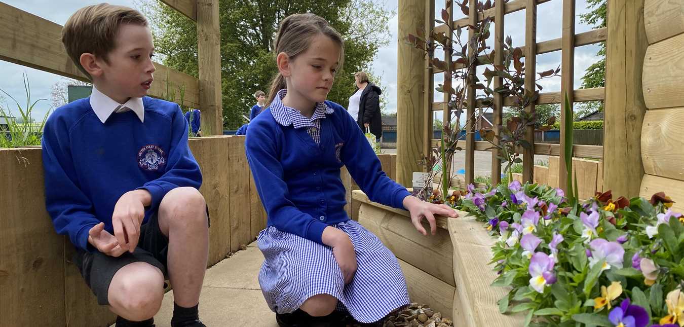 How To Create A School Sensory Garden